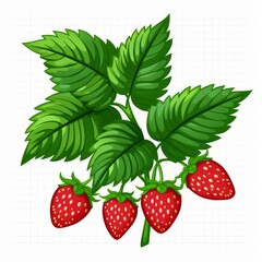 A close up of a strawberry plant with four strawberries on it
