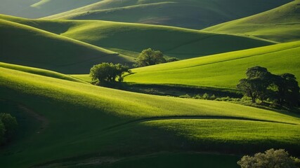 Fototapeta premium A lush green valley surrounded by rolling hills, perfect for serene getaways and nature retreats