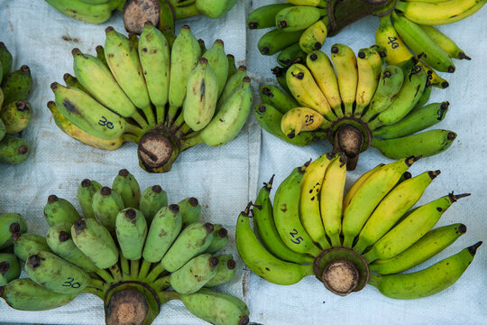 Kluai Leb Mu Nang lady finger banana