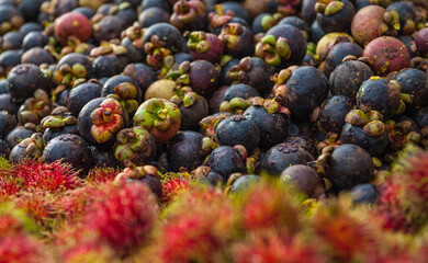 Mangosteen and rambutan at the Market 