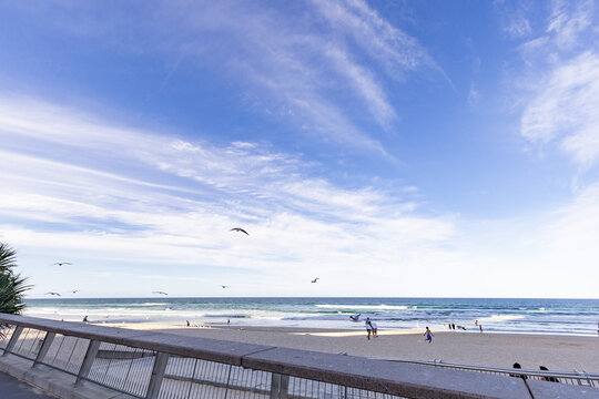 People and seagulls at Main Beach at Surfers Paradise on the Gold Coast