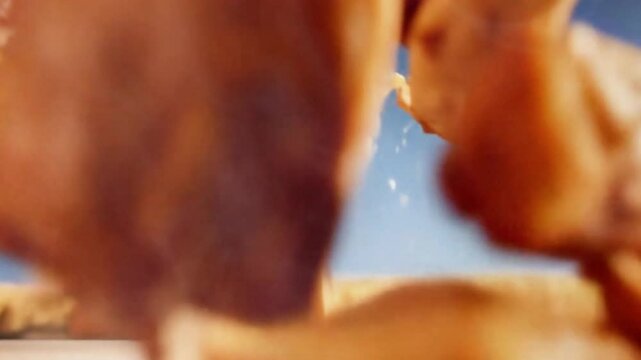 Fried chicken fly up and fall down