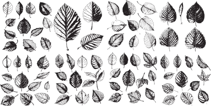 alder leaf silhouettes