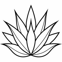 Agave vector silhouette illustration