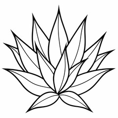 Agave vector silhouette illustration
