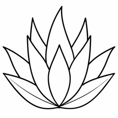 Agave vector silhouette illustration