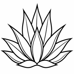 Agave vector silhouette illustration
