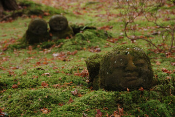 Jizo statues wearing moss in Japanese garden 苔の生えた庭に佇むお地蔵さん @京都