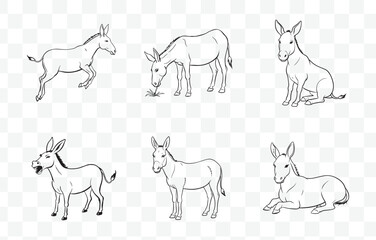 Print Comprehensive Mule Line Art Vector Set for Illustrations Graphics and Design Projects