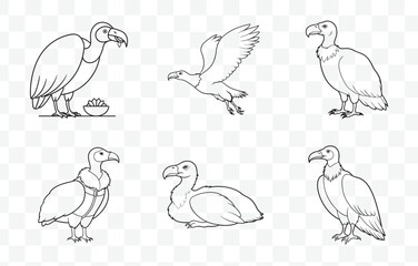 Print Vulture Line Art Vector Set Collection Featuring Elegant and Detailed Illustrations of Vultures