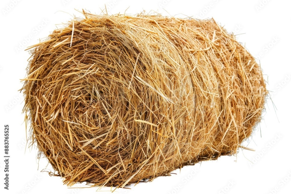 Canvas Prints bale of hay