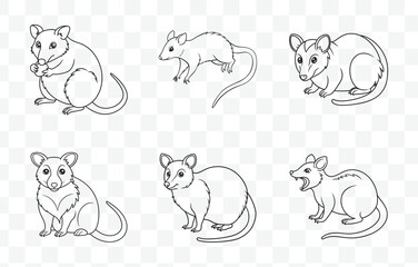 Print Comprehensive Possum Art Vector Set Featuring Detailed Illustrations for Creative Projects and Designs