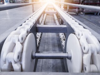 Fototapeta premium The conveyor of chick counter machine on industrial hatchery. Chain convenyor in industrial machinery.