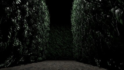 garden in backyard dark and scary 