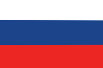 The flag of russia simple icon