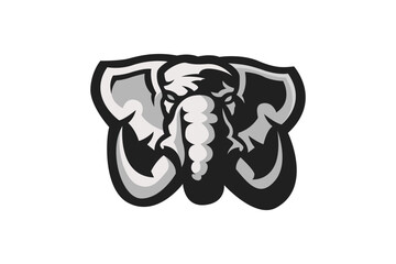 image of an elephant