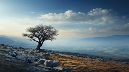 beautiful nature landscape panoramic photo