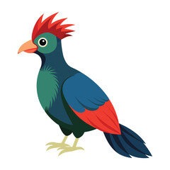 Illustration of Turaco bird Isolated on white