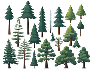 set of stylish pine trees, different patterns, chic design, white background.