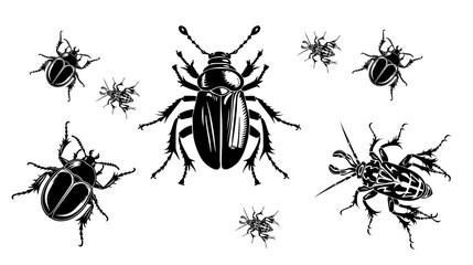 vector isolated set of insect silhouettes