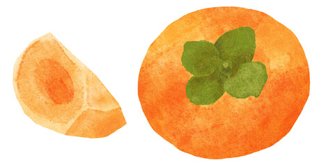 美味しそうな柿2　水彩タッチ