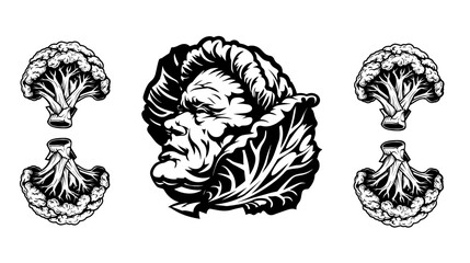 Obraz premium cabbage silhouette, cabbage outline, cabbage icon, cabbage symbol, cabbage graphic
