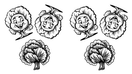 cabbage silhouette, cabbage outline, cabbage icon, cabbage symbol, cabbage graphic