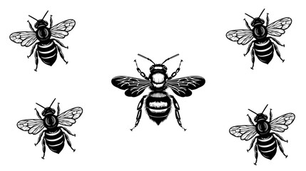 
vector isolated set of insect silhouettes
