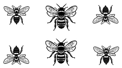 
vector isolated set of insect silhouettes
