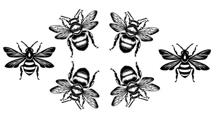 
vector isolated set of insect silhouettes
