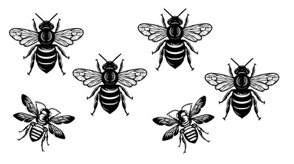 
vector isolated set of insect silhouettes
