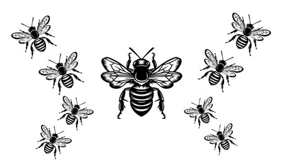 
vector isolated set of insect silhouettes
