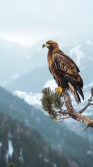 Fototapeta premium Golden eagle perched on a tree branch with a snowy mountain range in the background, symbolizing strength and majesty.