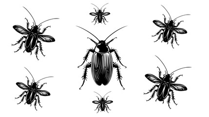 vector isolated set of insect silhouettes,Hand drawn vector illustration. Vector drawing of tree honeybee
