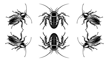 vector isolated set of insect silhouettes,Hand drawn vector illustration. Vector drawing of tree honeybee