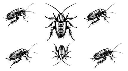 vector isolated set of insect silhouettes,Hand drawn vector illustration. Vector drawing of tree honeybee