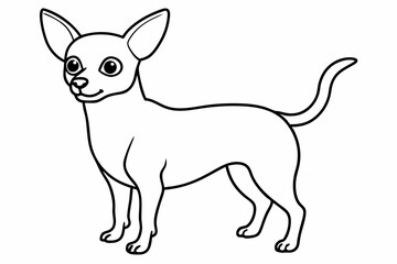 Chihuahua Dog breed line art vector Isolated on white background 