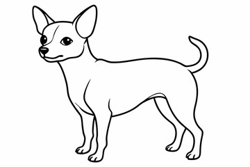 Chihuahua Dog breed line art vector Isolated on white background 
