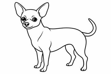 
Chihuahua Dog line art vector illustration, Dogs and puppies in different breed, corgi, golden retriever, poses, sitting, standing, jump

