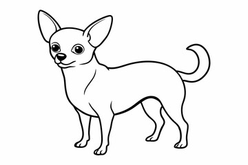 Chihuahua Dog breed line art vector Isolated on white background 