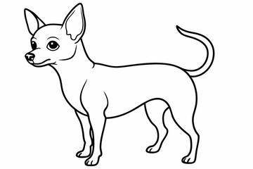Chihuahua Dog breed line art vector Isolated on white background 