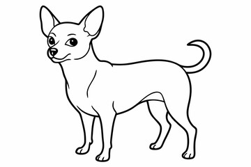 Chihuahua Dog breed line art vector Isolated on white background 