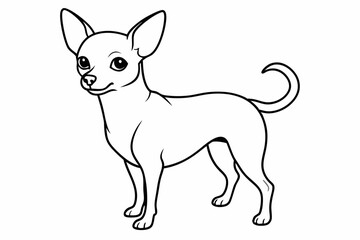 Chihuahua Dog breed line art vector Isolated on white background 