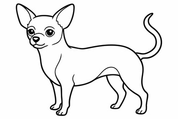 Chihuahua Dog breed line art vector Isolated on white background 
