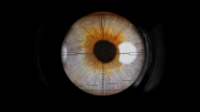 A sniper looking through the scope of his weapon.