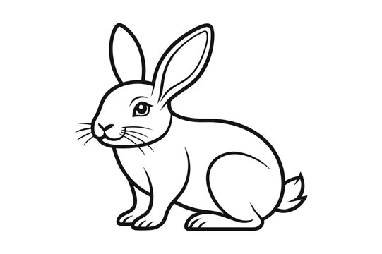 Cute bunny rabbit outline sketch vector illustration.