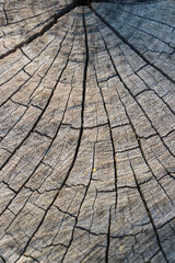 Old wooden texture for background that has natural.