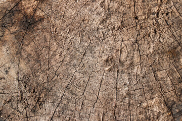Old wooden texture for background that has natural cracks.