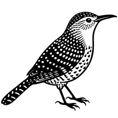 Cactus Wren Icon Silhouette Illustration. Bird Vector Graphic Pictogram Symbol Clip Art. 