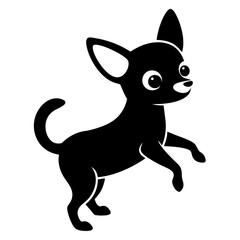 baby Chihuahua dancing